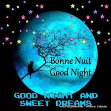 Risultati immagini per bonne nuit