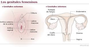 We did not find results for: Salud De La Mujer Elmundo Es Salud