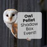 Owl Pellet Shadow Box Event