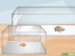 Cara membuat aquarium sederhana sebenarnya tidak terlalu sulit, bahkan terbilang mudah. 9 Cara Untuk Membuat Akuarium Wikihow