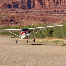 Image result for Kodiak Brown 2013 Fleet