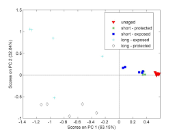 Assessment of historical polymers using attenuated total  reflectance-Fourier transform infra-red spectroscopy with principal  component analysis
