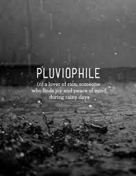 Rain sounds for sleep & study. Rainy Mood On Twitter Are You A Pluviophile Http T Co Rkxe9oo36x