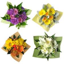 We did not find results for: Bulk Bouquets For Sale Sam S Club