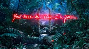 Download and use 100,000+ neon lights stock photos for free. Forest Neon Sign 4k Ultra Hd Wallpaper Hintergrund 3840x2160