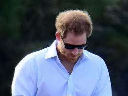 Check spelling or type a new query. Prince Harry S New Haircut Gives California Vibes In Recent Video Cafemom Com
