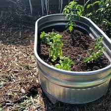How to make a stock tank garden. Pin On Outdoors