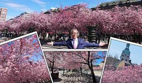 Fram till 1947 hade usa:s beskickningschef i regel ministers eller envoyés rang, därefter företräddes usa av en fullt ackrediterad ambassadör i enlighet med. Japans Ambassador I Sverige Japanisverige Twitter