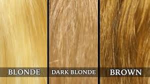 Depending on your budget, you have several options for purchasing brunette hair shampoos. John Frieda Sheer Blonde Shampoo On Blonde Dark Blonde And Light Brown Hair Before After Review Youtube