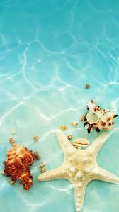 Check spelling or type a new query. 1001 Ideas For Cute Wallpapers That Bring The Summer Vibe