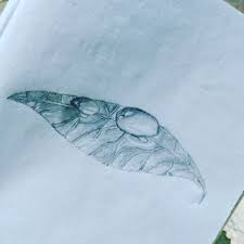 Use this template to get a simple 3d sketch which portrays a realistic natural landscape. Easy 3d Art Pencil Drawing How To Draw 3d Dew Drop On Leaf 5 Steps With Pictures Instructables