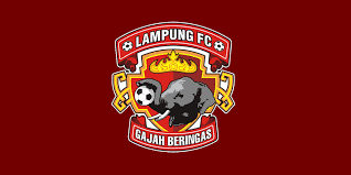 Finland dls logo is stylish. Lampung Fc Bola Net