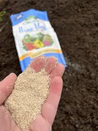 How to Plant Dahlia Tubers