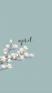 Rianadonnelly nature aesthetic flower wallpaper floral iphone wallpaper tumblr flowers wallpaper and clouds image flower wallpaper. Pink Flower Wallpaper Tumblr Wallpapers Background Pink Aesthetic Backgrounds Flowers 1152x727 Wallpaper Teahub Io