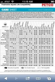 59 matter of fact fish compatibility chart petco