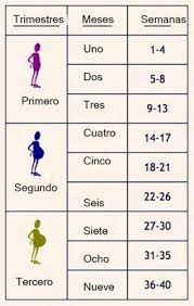 Debido a los cambios hormonales en su cuerpo, la mujer embarazada puede experimentar Equivalencia Semanas Meses Embarazo Buscar Con Google Calendario Del Embarazo Embarazo Cosas De Embarazadas