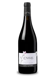 Maybe you would like to learn more about one of these? Camas Pinot Noir Radelan