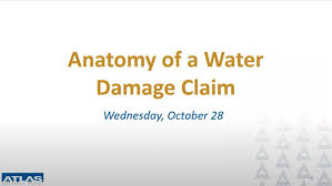 And we've loaded our app with tools that will simply make your insurance life easier. Anatomy Of A Water Damage Claim Webinar Recording Atlas Insurance