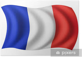Le drapeau du paraguay est le seul drapeau national à avoir un symbole différent sur chacune de ses faces.sur l'endroit on peut observer les armoiries du pays, alors que sur l'envers on trouve un lion assis de profil devant une pique surmontée du bonnet phrygien, le tout entouré par la devise nationale paz y justicia (« paix et justice »). Poster Drapeau De La France Drapeau Francais Pixers Nous Vivons Pour Changer