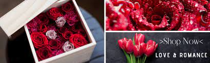 You can choose from premier gift baskets, designer flower arrangements, balloon bouquets and much more. Flowers In Grand Rapids Flower Delivery Blue Iris