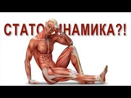 программа тренировок для набора мышечной массы в тренажерном зале Statodinamika I Statodinamicheskie Uprazhneniya Sportwiki Enciklopediya Zdorove