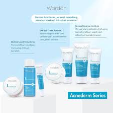 Untuk itu, kami menyajikan beberapa skin care terbaik untuk mewarat kulit wajah sensitif dari berbagai merek serta ulasannya. 6 Merk Skincare Terbaik Untuk Ragam Jenis Kulit 2021