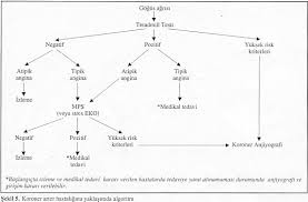 Stabil Angina Pektoris In Tanisi Ve Tibbi Tedavisi