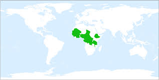 Image result for Andropogon pseudapricus