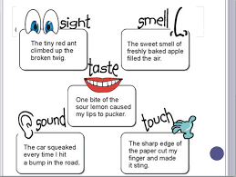 Vignette Examples Poetry Elements Sensory Language Teaching Writing