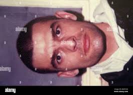 Staggs hi-res stock photography and images