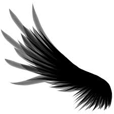 Black And White Angel Wings Png Wing By Cinnamonkitt On Deviantart Angel Wings Png Wings Png Wings