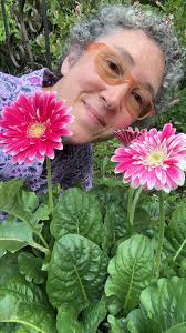 This stunning South African native is an annual plant where I am in  Massachusetts, Zone 7B. Give Gerbera jamesonii morning sun and afternoon  shade and you will be richly rewarded!❤️, #gerberdaisy ...