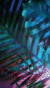 By default, ios 12 contain only one solid colored image for wallpaper which is black. Wallpaper Mobile Wallpaper Wallpaper Iphone Solid Color Wallpaper Colorful Wallpaper Landscape Wallpa Landscape Wallpaper Samsung Wallpaper Phone Wallpaper