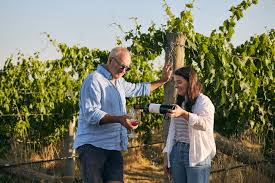 Image result for Wiesneria