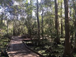 It is named after french pirate jean lafitte and consists of six separate sites and a park headquarters. Barataria Preserve Jean Lafitte National Historical Park And Preserve Old Growth Forest Network