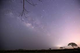 Ugh, a couple fractures in the spyglass / young calf stung up by the high grass / don't know why but felt like i just had to get away / why am i mad at the world when. Lyrid Meteor Shower 2021 Which Direction To Look And When The Independent