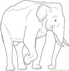Maybe you would like to learn more about one of these? Indian Elephant Coloring Page For Kids Free Elephant Printable Coloring Pages Online For Kids Coloringpages101 Com Coloring Pages For Kids