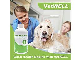 We did not find results for: Vetwell Lime Sulfur Dip For Dogs Cats And Horses