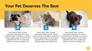 We recognize that pets are your greatest risk. Pet Care Powerpoint Template Free Powerpoint Template