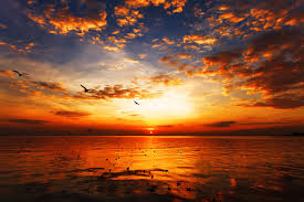 Image result for sunsets