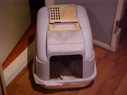 Corner Litter Box What Is The Best Corner Litter Box