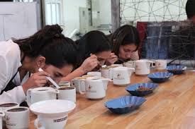 catadores nuevos de café | Educafes