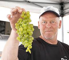 Hunter Sem's Cruel Summer