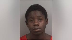 St. Pete police arrest man who stabbed his brother, they say