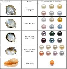 We did not find results for: Download Scientific Diagram Different Types Of Pearl Producing Species First Two Columns Trade Names Of Th Jewelry Knowledge Pearls Crystals And Gemstones