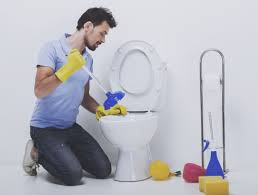 Déboucher une canalisation de wc. Deboucher Wc 18 Methodes Efficaces Pour Vos Toilettes