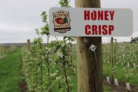 Record and instantly share video messages from your browser. Kuipers Family Farm 1n318 Watson Rd Maple Park Il 60151 Yp Com