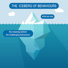 How to find the underlying reasons for challenging behaviour with  functional behaviour assessment - Monash Education