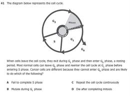 Biology staar review i draft. Departments Staar Released Test Questions