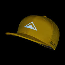 Pin By Gustavoedgar On Cap In 2020 Pro Fitness Nike Dri Fit Nike